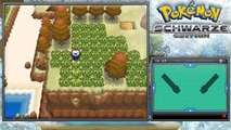 Lets Play Pokémon Schwarze Edition Part 65: Rubius & das P2-Labor!
