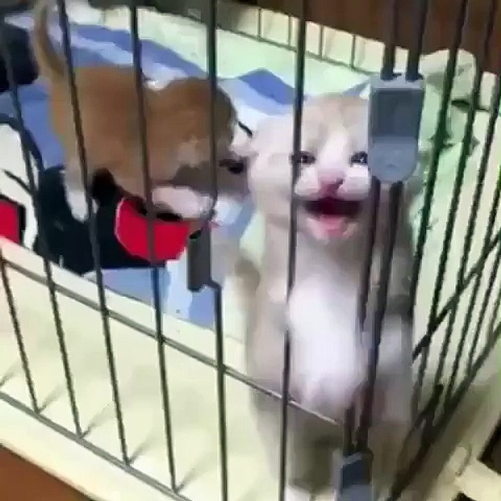 GIVE ME LOOOVE!!