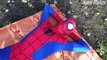 Spiderman Vs Venom Vs Tigger - Spiderman Dream In Real Life | Superheroes Movie