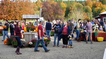 Craven Farm (Oct. 22nd, 2016)