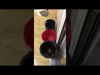 Goteras en comisarías de la Policía Local de Madrid