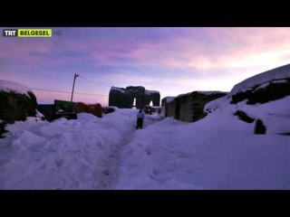 Kış Hikayeleri - 3. Bölüm Fragman - TRT Belgesel