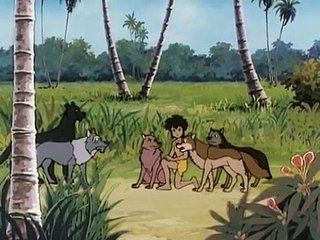 LA NAISSANCE DE MOWGLI LENFANT LOUP - Le Livre de la Jungle, ép. 2 - VF