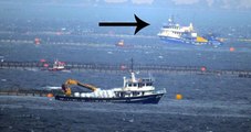Gırgır Teknesi 'C.Mehmet Reis 1' Balık Çiftliğine Daldı, Binlerce Balık Telef Oldu