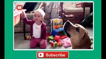 Babies Laughing at Funny Pets Baby Laughing at Funniest Animals Compilation 2014