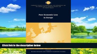 Big Deals  Pure Economic Loss in Europe (The Common Core of European Private Law)  Best Seller