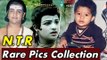 Jr NTR  Unseen Rare Pics Collection || 2016 Latest Telugu Movies || Jr NTR