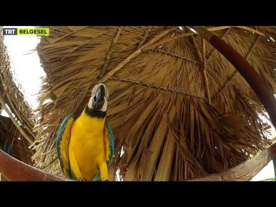 Büyük Yolculuk - 2. Bölüm Fragman - TRT Belgesel