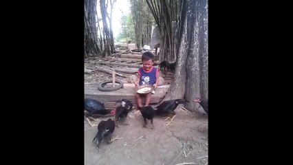 Funny Boy Scared chicken as make to Cry