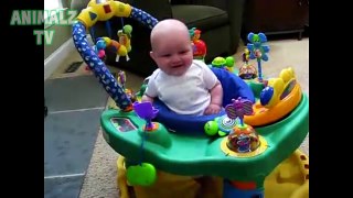 Funny Babies Laughing at Dogs Eating Bubbles Compilation