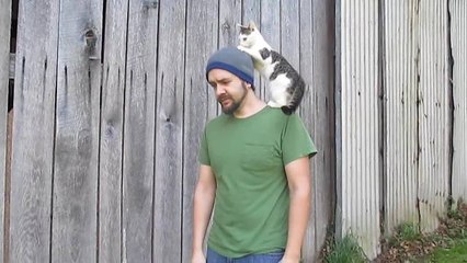 Bad kitty totally photobombs Halloween video