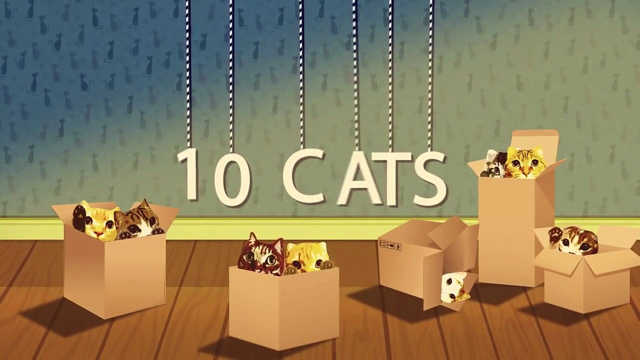 Best lobster vs Cat funny cat video funny kitty 2016