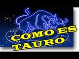 TAURO Y SUS CARACTERISTICAS ESPECIALES nuevo