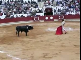 Novillada Saint-Sever 19.08.07 - Toro n°5