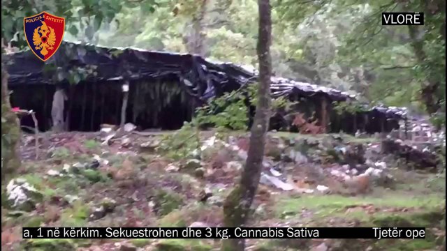 Operacioni antikanabis në Vlorë