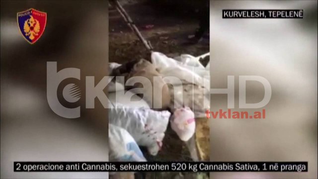 Operacion i gjerë antikanabis, sekuestrohen mbi 1.2 ton marijuanë