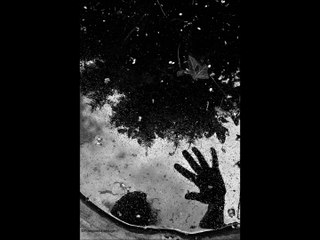 Photographies de Françoise L