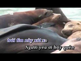 KARAOKE - Goi Ten Em Trong Dem Remix - The Men