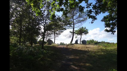 Dolmens et Menhirs du Morbihan.