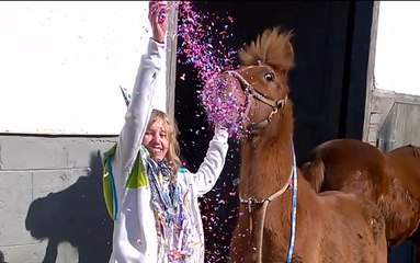 [horsegirlship 14] Happy Birthday Pedro 2016