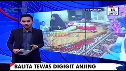Abdi Galang Pratama Tewas Digigit Anjing di Palembang Sumatera Selatan