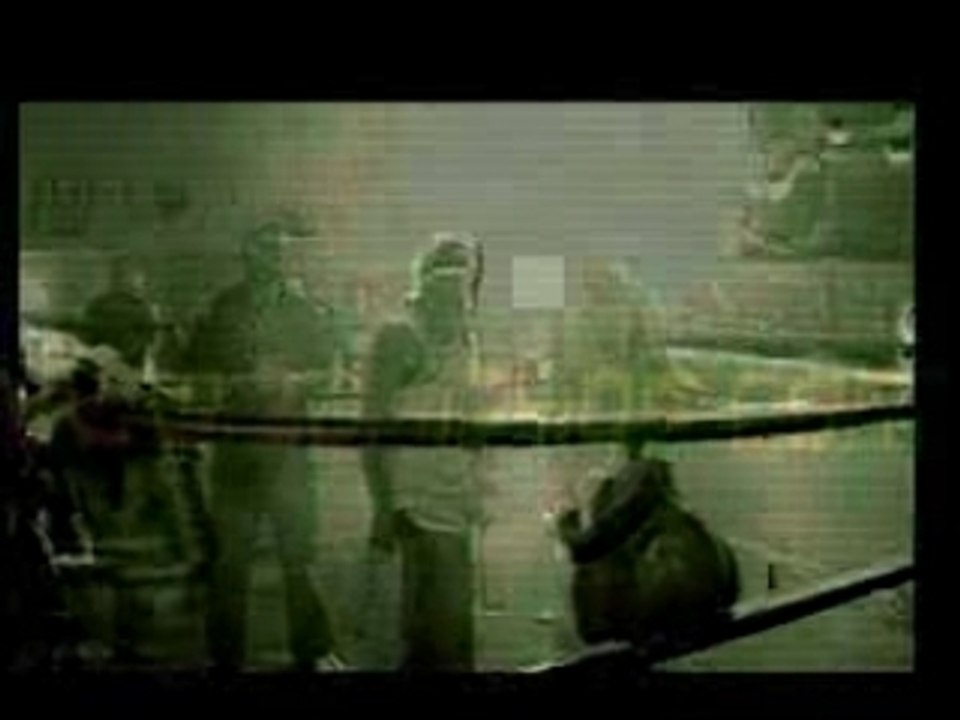 DIAMANDI & TESLATA Ft. KRIKA - Ding-Dong