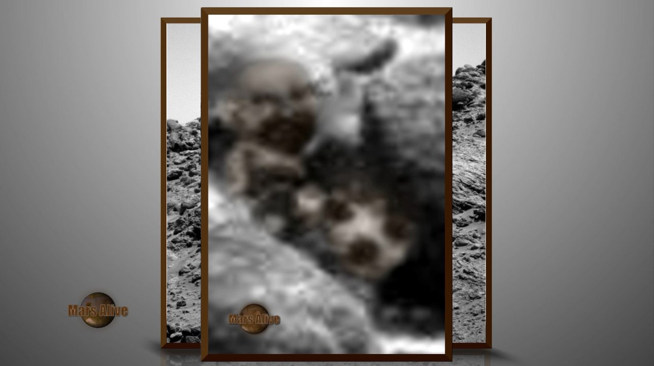 Martians Best Friend