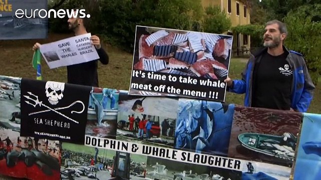 Σλοβενία: Η Ιαπωνία στο στόχαστρο της συνόδου για την φαλαινοθηρία