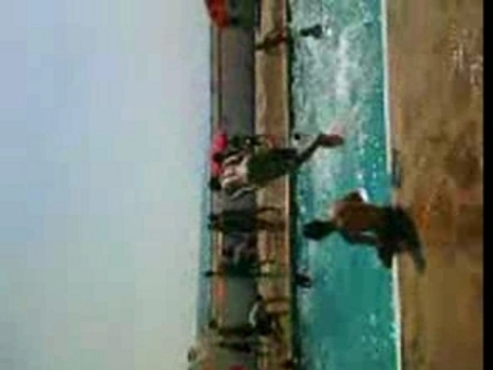 piscine 1