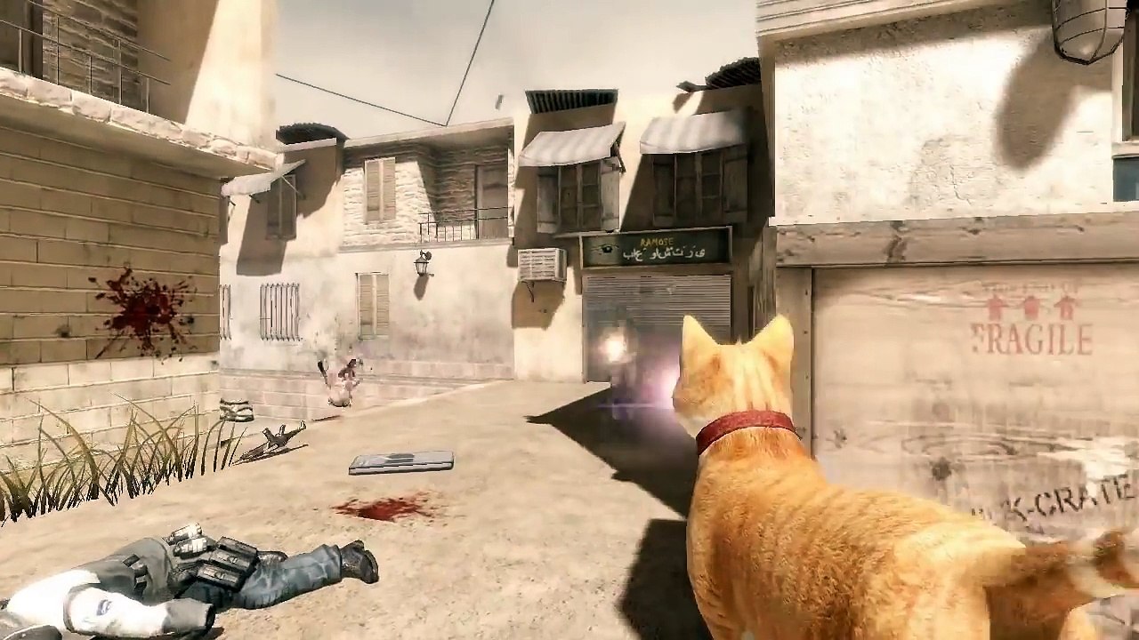 Cat Strike: Source