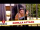 Gorilla Attack & Burnt Dollar Bill Pranks - Throwback Thursday