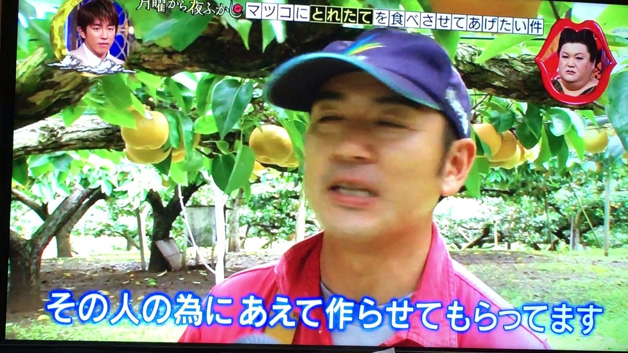 夜ふかし 梨のお話