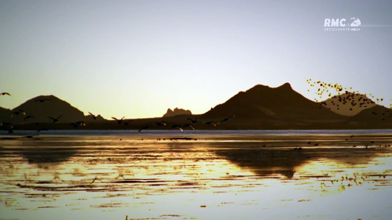 Le Secret Des Momies D'égypte