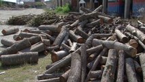 Prerja ilegale e drunjëve në Komunën e Gjakovës - Lajme