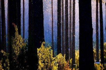 밤전 서울대휴게텔 예약 BamWar007.com