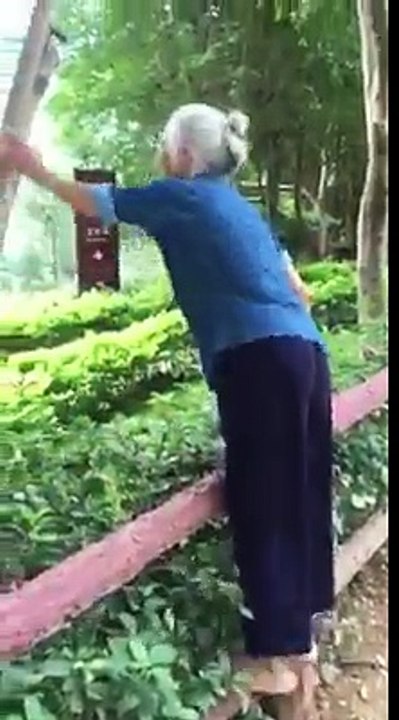 搞笑视频- 2016-2017 ( Funny Video ) (12)