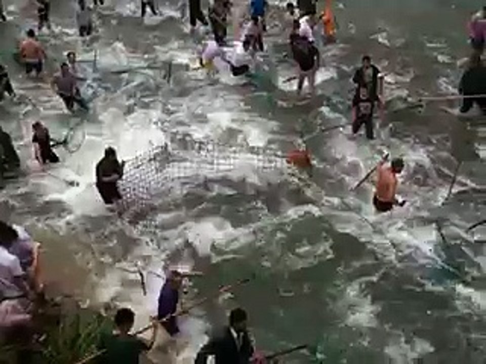 搞笑视频- 2016-2017 ( Funny Video ) (16)
