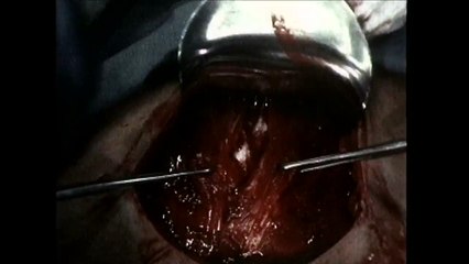 Natividade - Marcos Jorge