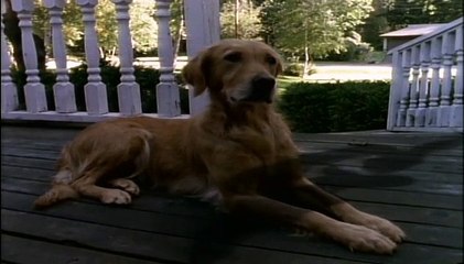 Goosebumps Season 2 Episode 13 Let's Get Invisible