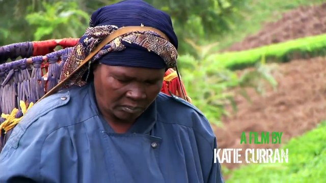 GREENING THE REVOLUTION Movie TRAILER (Documentary, 2016)