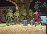 Tortues Ninja Les Chevaliers décaille S03E17 - Tortues et Tortues Partout