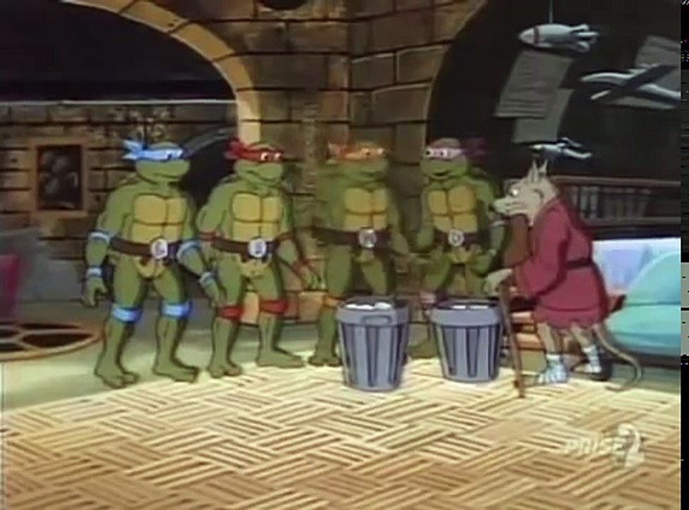 Tortues Ninja Les Chevaliers décaille S03E17 - Tortues et Tortues Partout