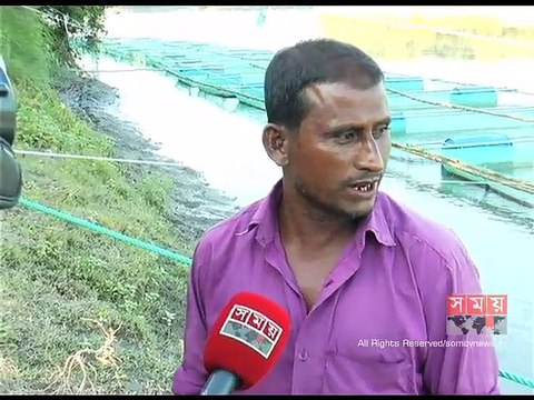 দিনাজপুরে খাঁচায় মাছ চাষ প্রকল্পের জনপ্রিয়তা বাড়ছে
