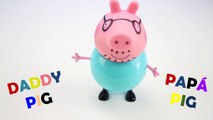 Peppa Pig English - Pappa Pig Finger Family Stop Motion| daddy finger daddy finger Peppa Pig