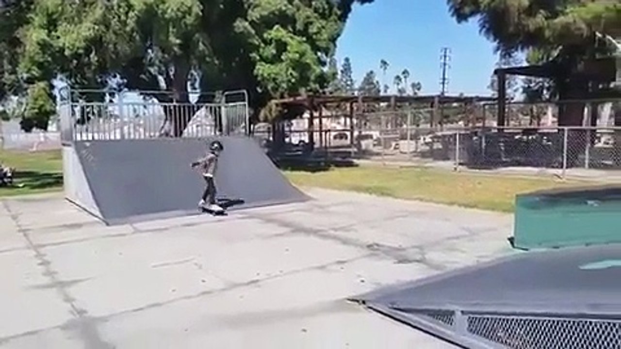 How Many Pro Skaters Were This Good At 5?