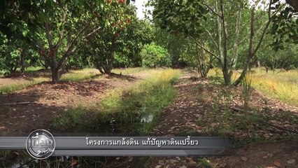 ข่าวช่องวัน | โครงการแกล้งดิน แก้ปัญหาดินเปรี้ยว | ช่อง one31