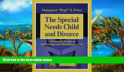 Big Deals  The Special Needs Child and Divorce: A Practical Guide to Handling and Evaluating
