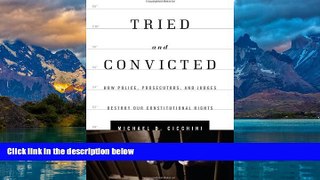 Big Deals  Tried and Convicted: How Police, Prosecutors, and Judges Destroy Our Constitutional