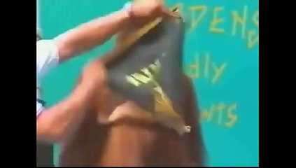 Funny Monkey with funny Magic show