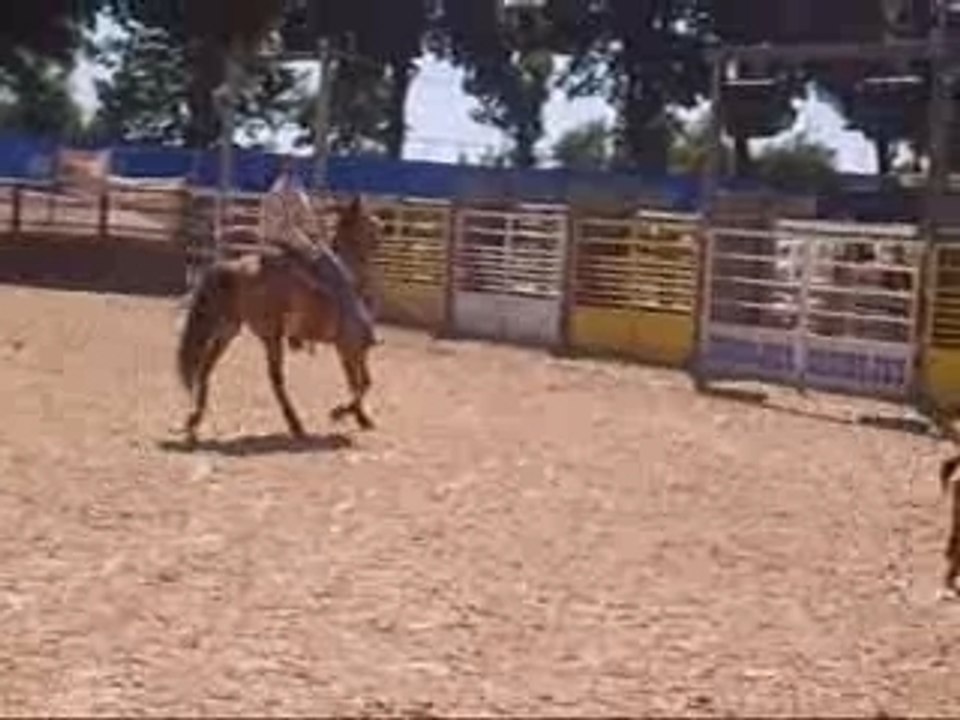 equiblues